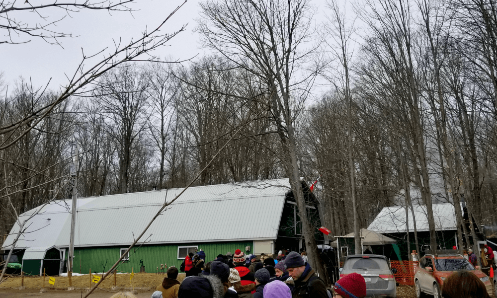 Maple Syrup Festival in Warkworth